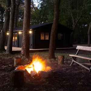  Holiday home The New Forest Cabin United Kingdom